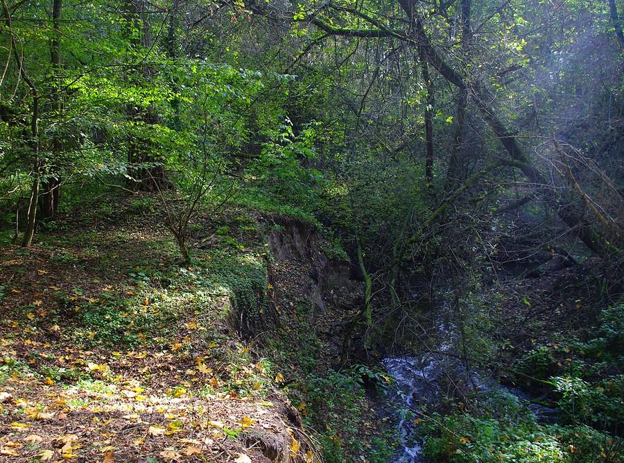 Słońce jeszcze ma co oświecać - Wielkopolski Park Narodowy