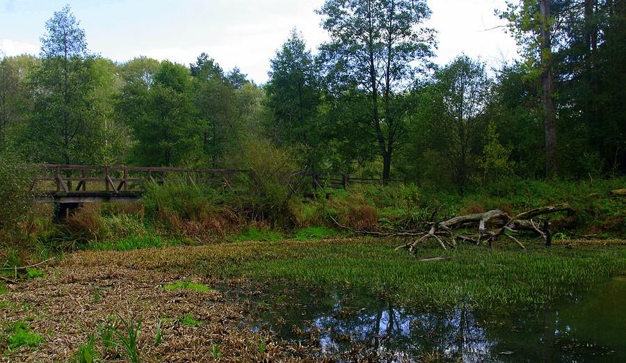 Most przy uroczysku - Wielkopolski Park Narodowy