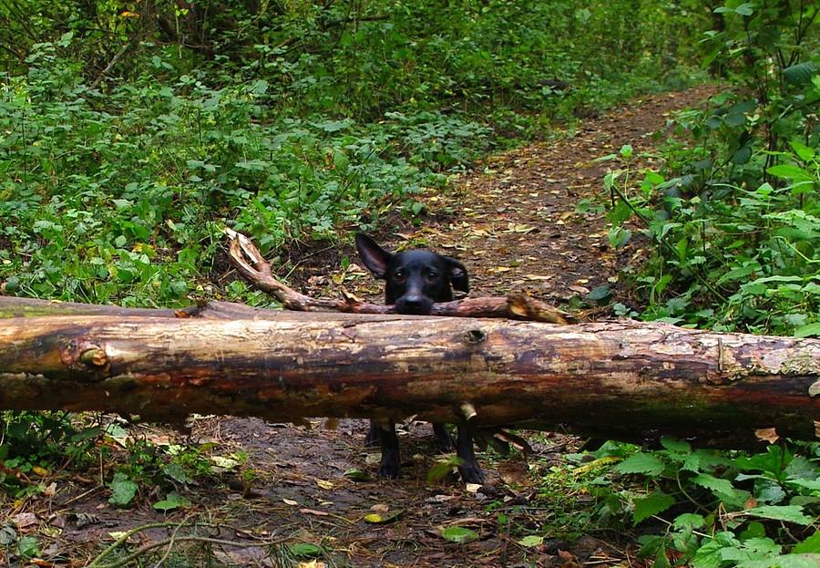 Uda się czy się nie uda? - Wielkopolski Park Narodowy