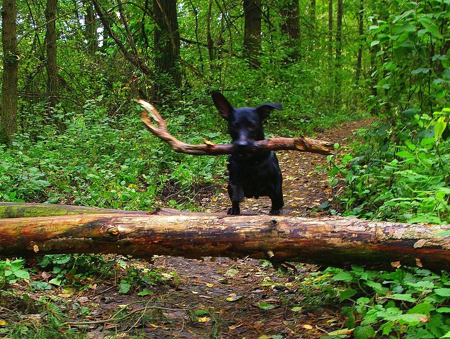 Oczywiście, że się uda : - Wielkopolski Park Narodowy
