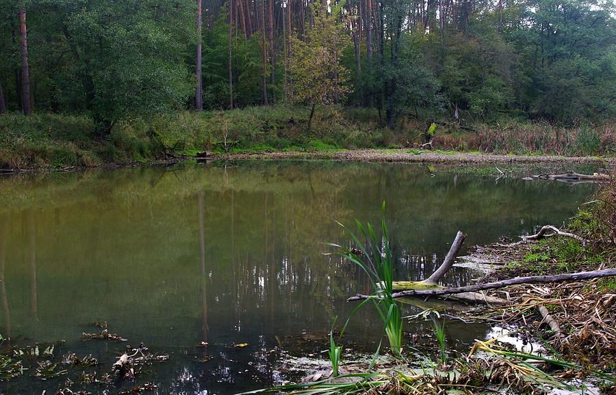 Żaden potwór nie wypłynął - Wielkopolski Park Narodowy