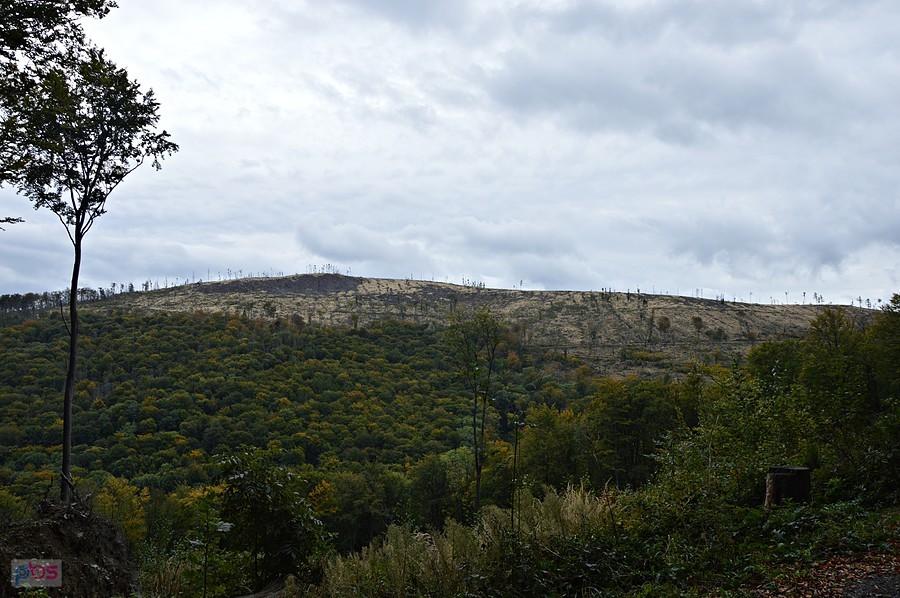 Widok na Srebrną Kopę 785 m n.p.m.