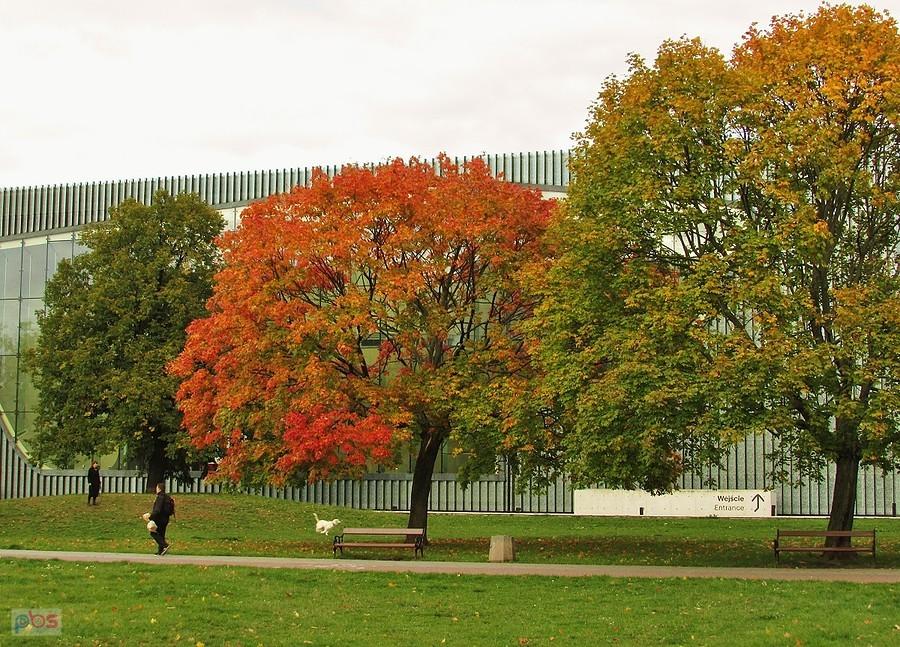 Park przy Muzeum POLIN