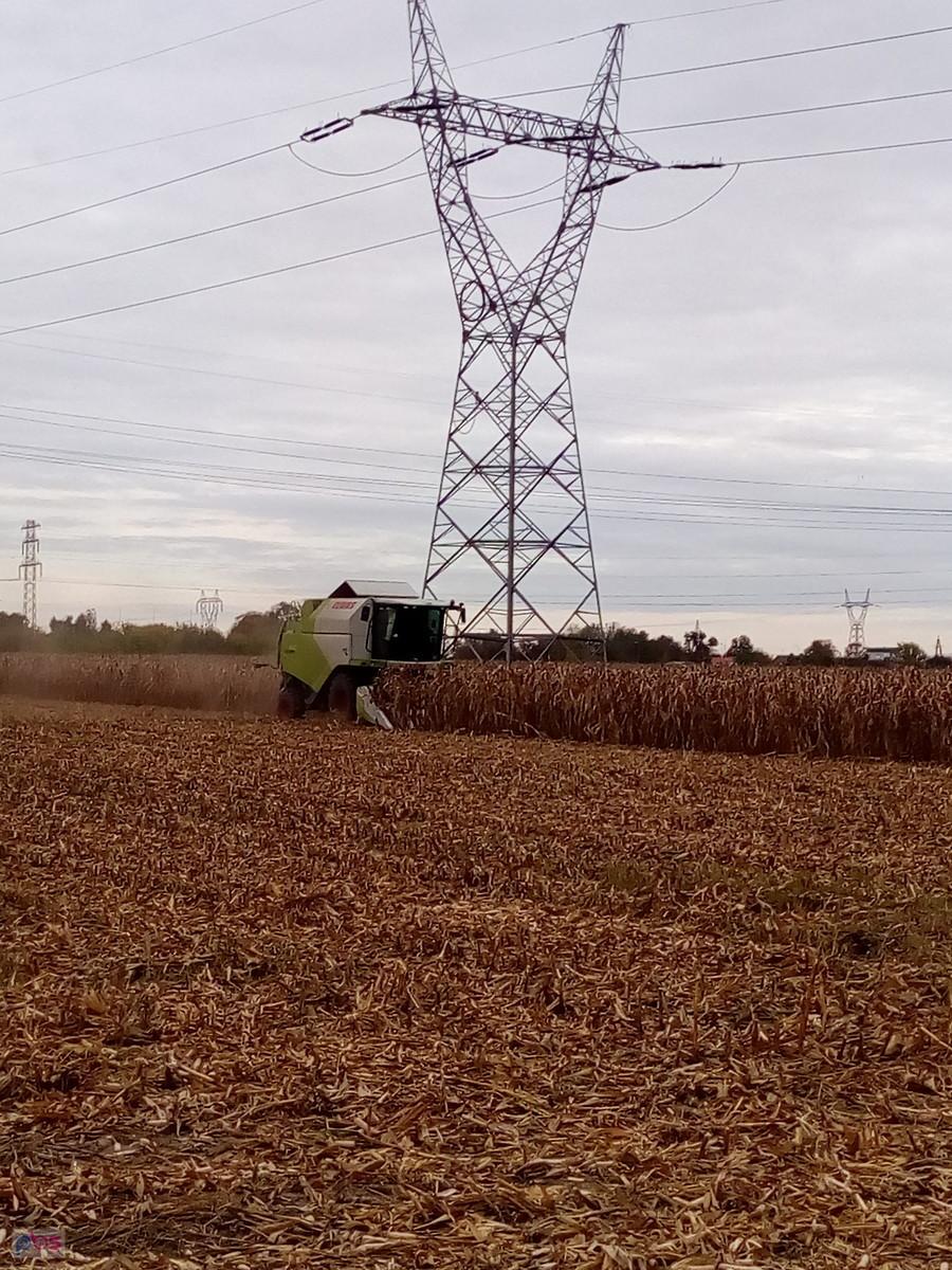 Kombajn do zbierania kukurydzy