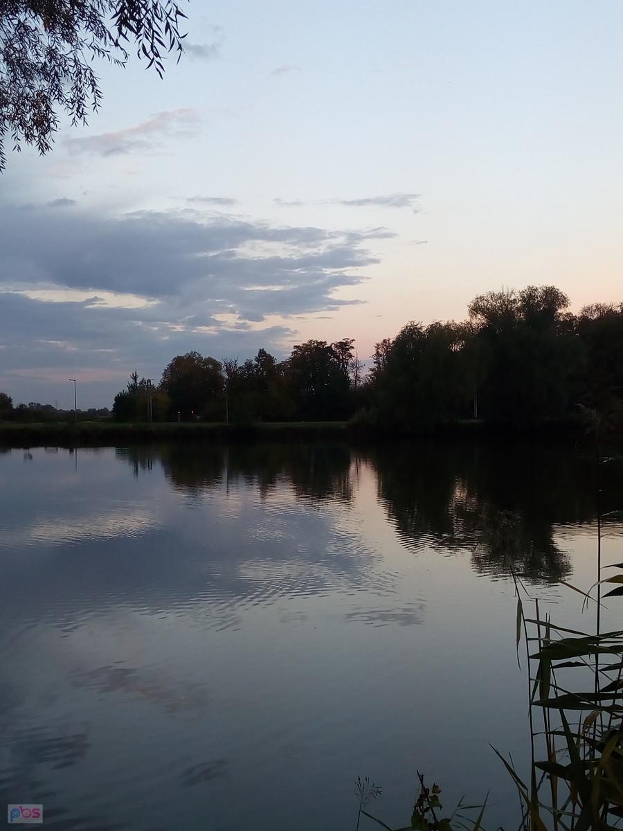 Staw w Zielonkach. Dawno tu nie byłam