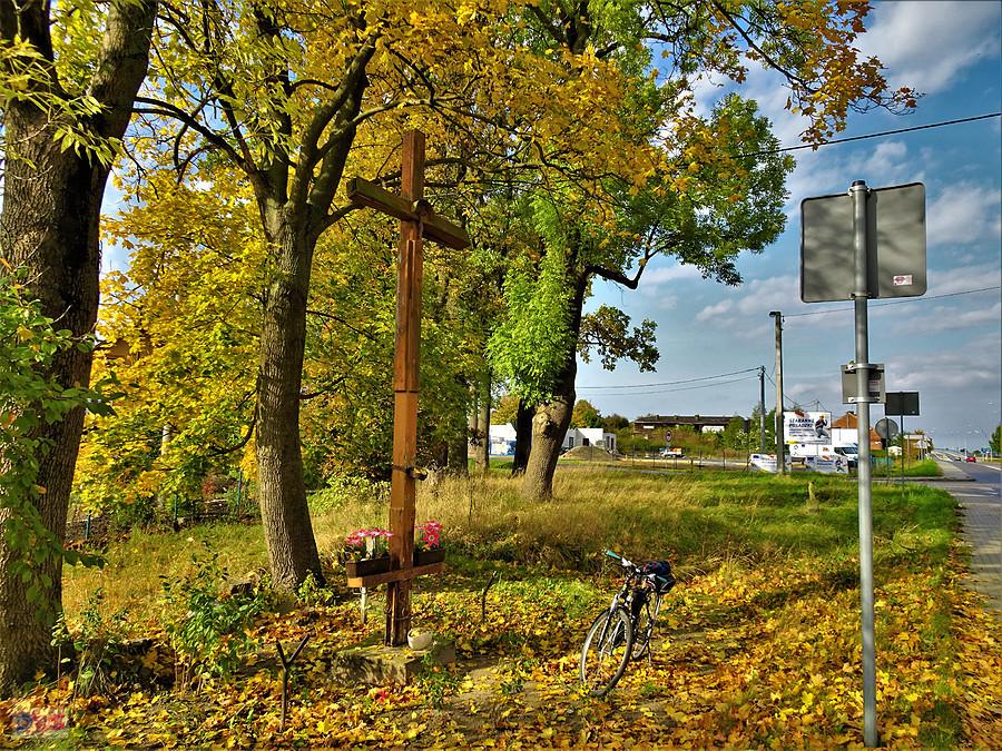 Rowerem po Kociewiu - barwy jesieni.