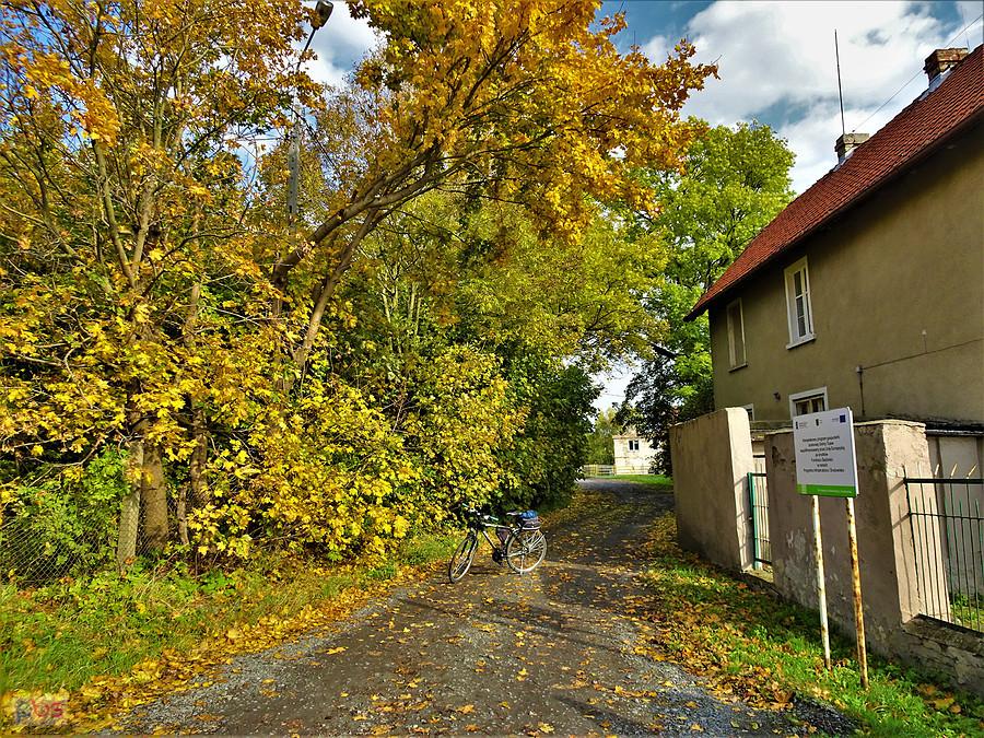 Rowerem po Kociewiu - barwy jesieni.