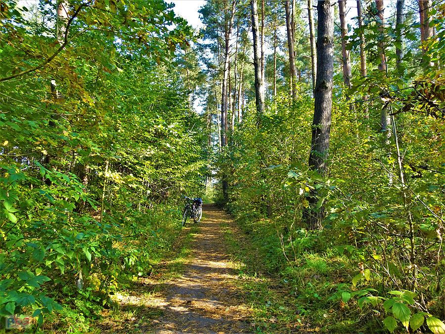 Rowerem po Kociewiu - barwy jesieni.