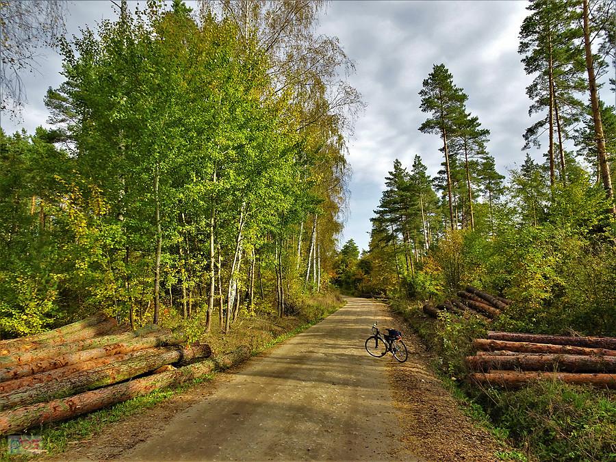 Rowerem po Kociewiu - barwy jesieni.