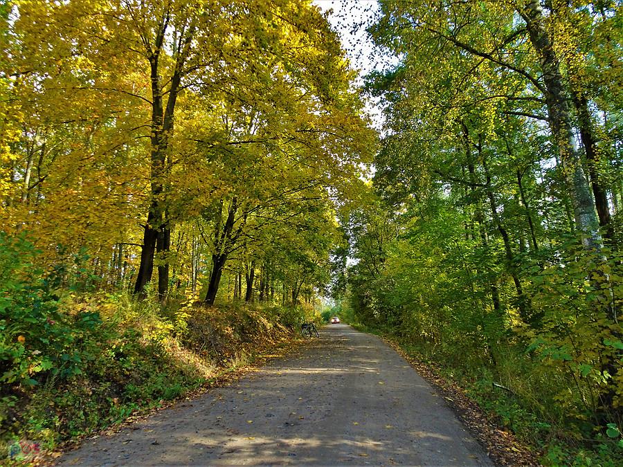Rowerem po Kociewiu - barwy jesieni.