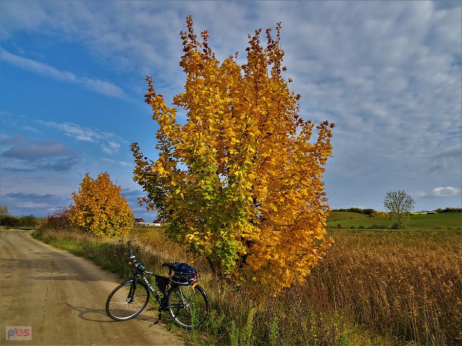 Rowerem po Kociewiu - barwy jesieni.
