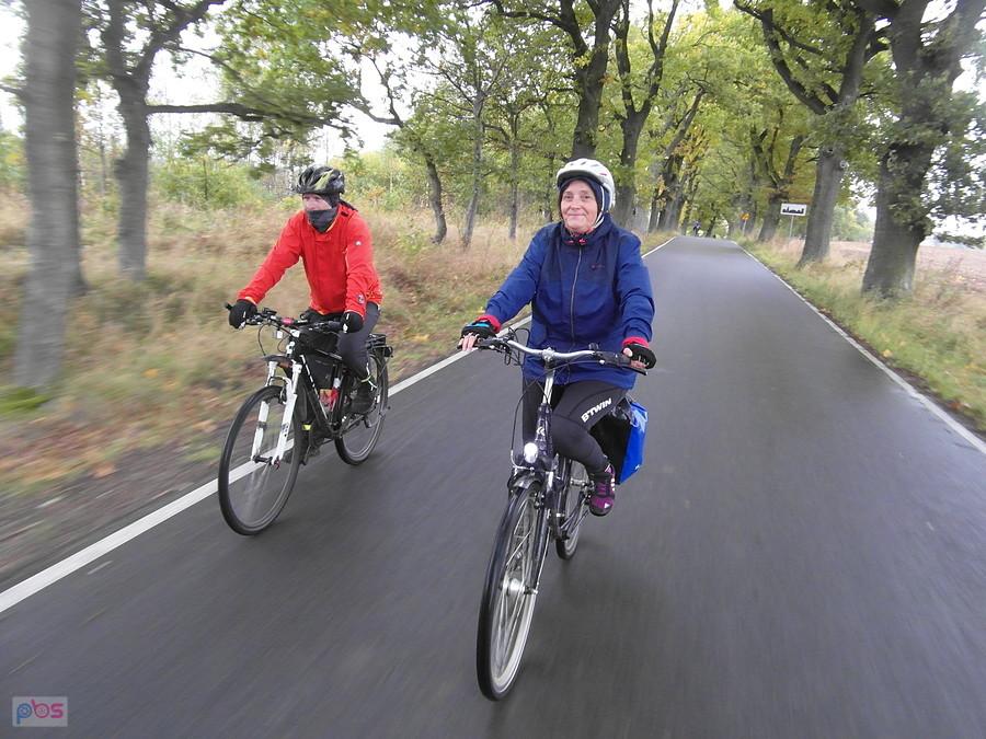 Dwoje rowerzystów na leśnej drodze