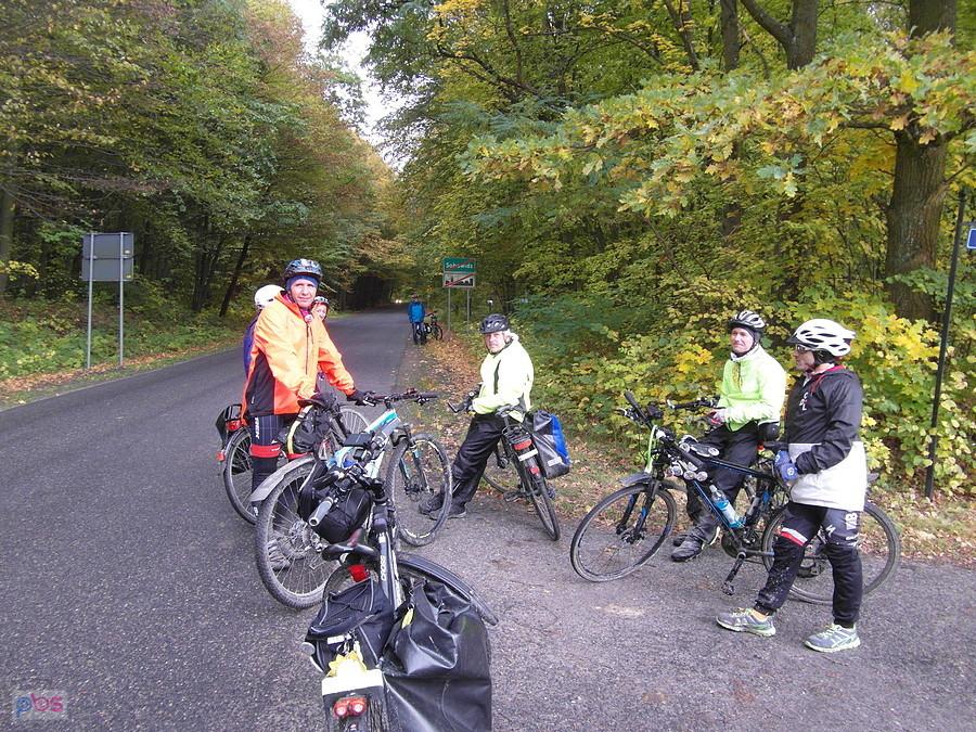 Grupa rowerzystów na leśnej drodze