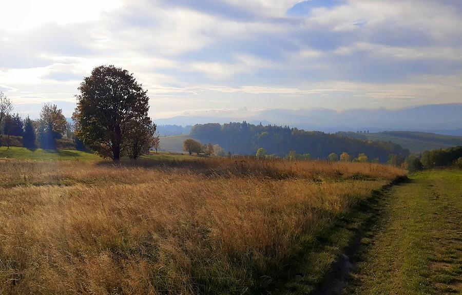 I raz jeszcze to samo, ale inaczej - Łysa Góra