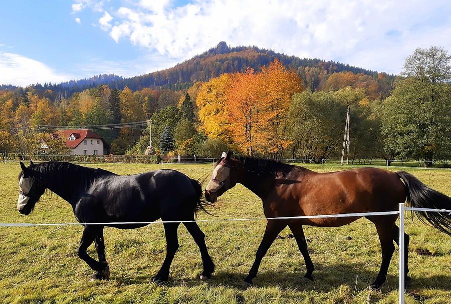Patataj i takie tam :) - Trzcińsko