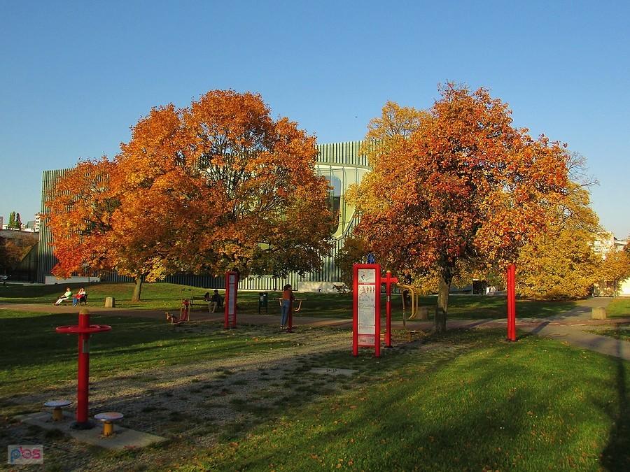 Siłownia plenerowa przy Muzeum POLIN