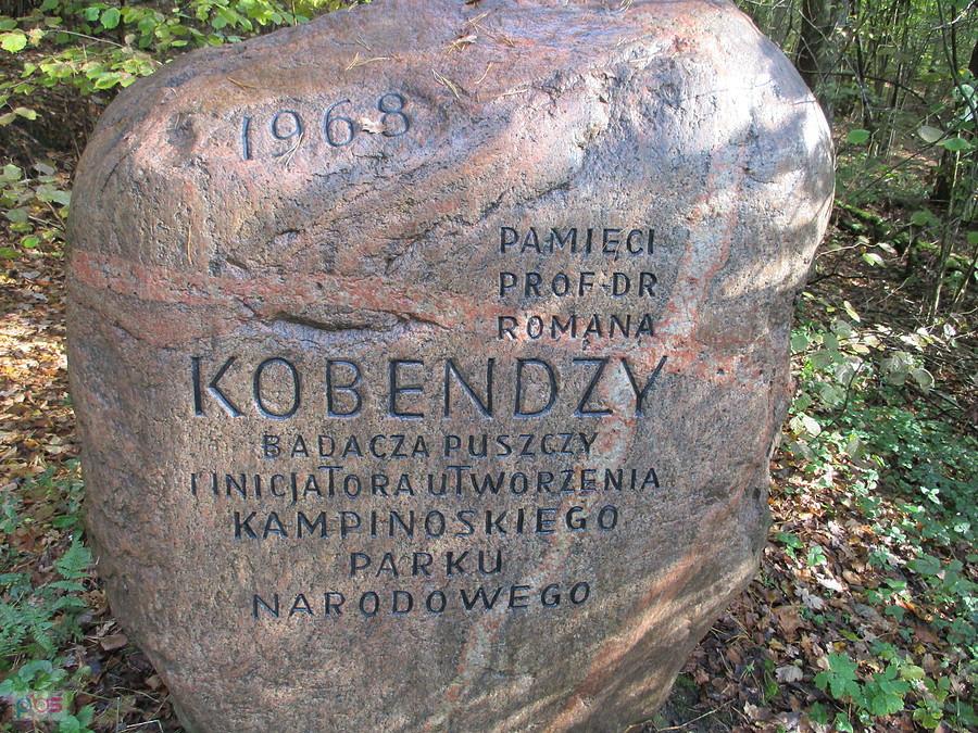 Puszcza Kampinoska - pod Dębem