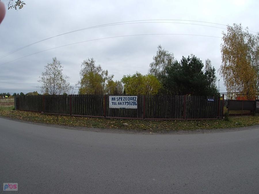 Mistrz ortografii