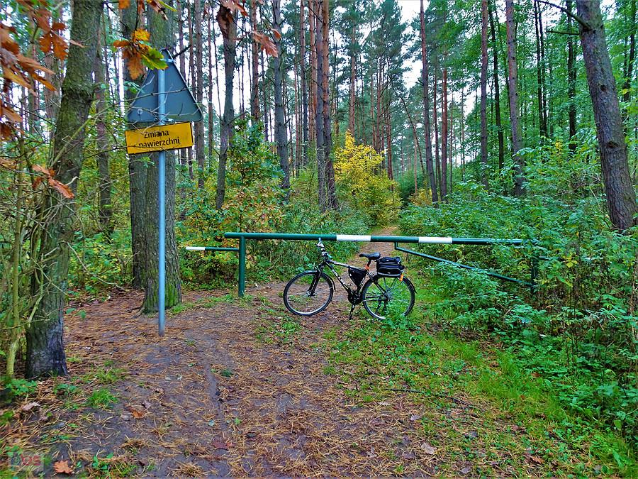 Rowerem po Kociewiu, okolice Tczewa - uroki jesieni.