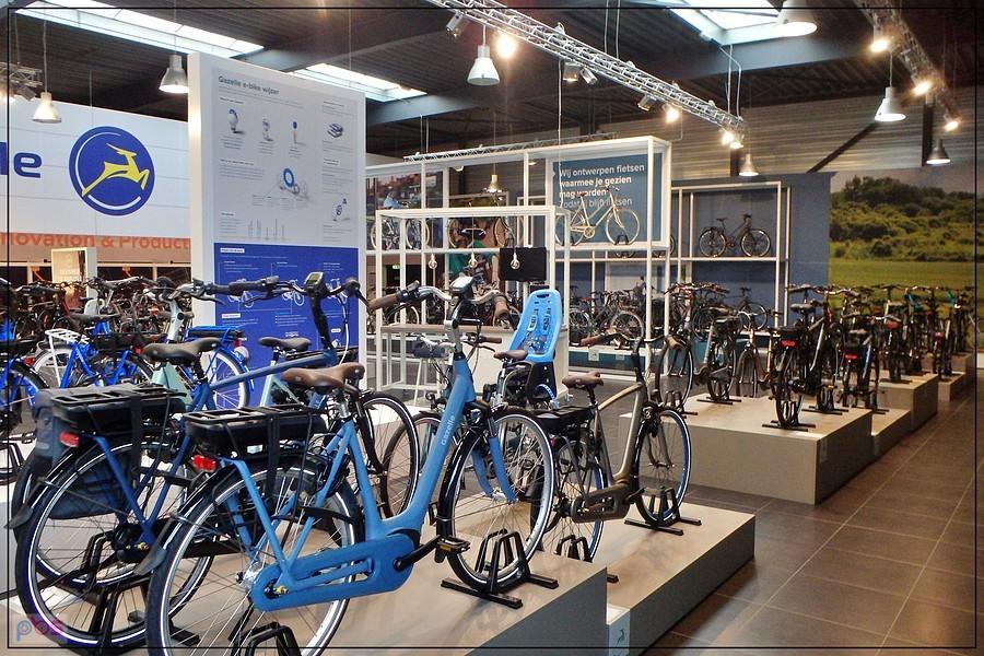 Nowa kolekcja Gazelle 2020