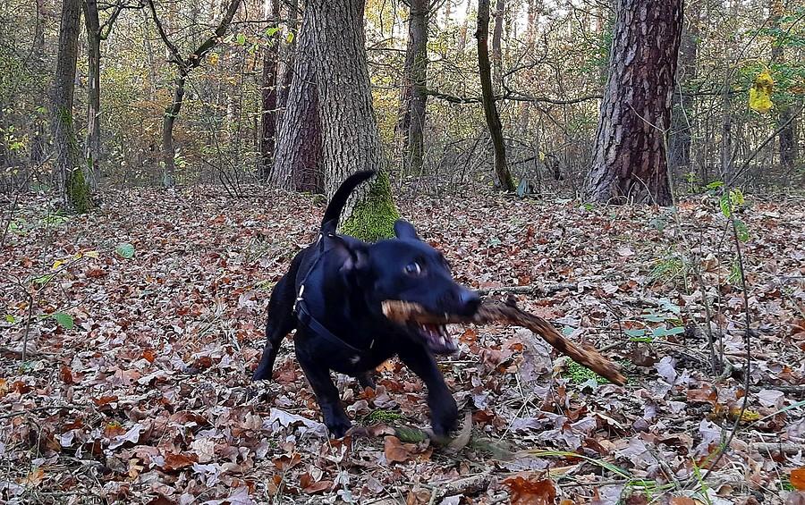 A spróbuj mi zabrać! :)