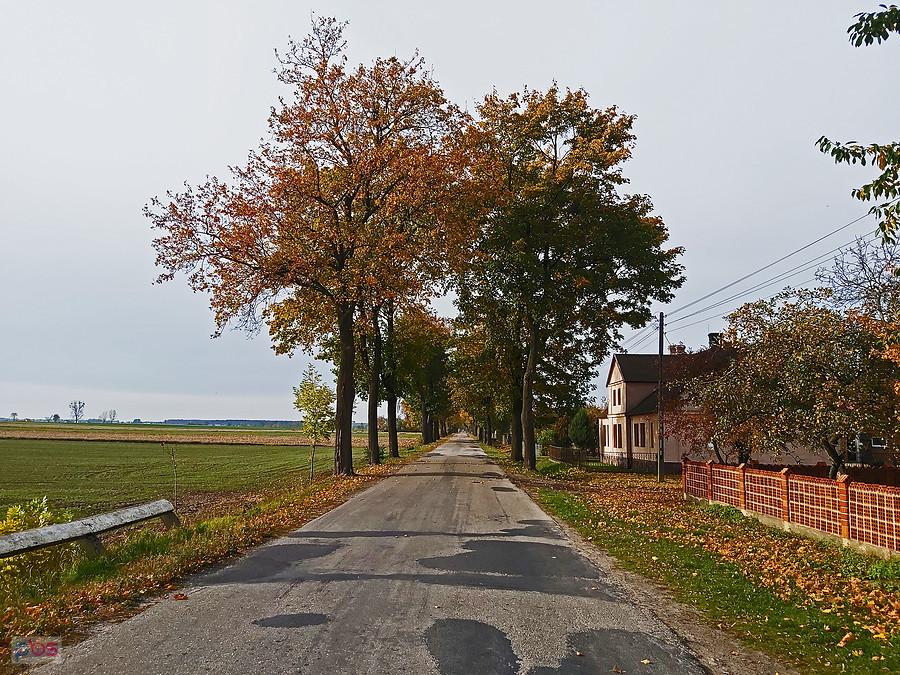 Trasa na Raszków