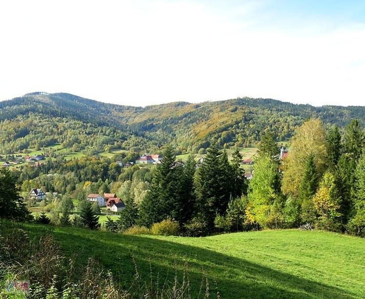 Widok na Sopotnię Wielką