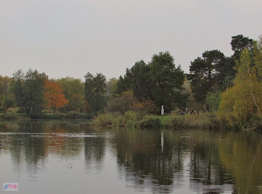 Staw przy Górkach Szymona