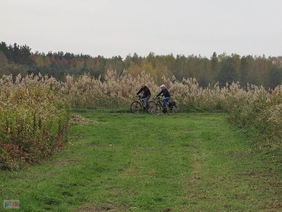 Bikerzy na grobli