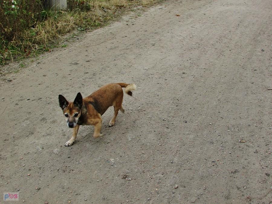 Niechętnie zszedł mi z drogi