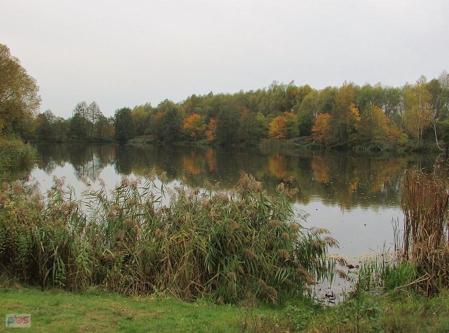 Górki Szymona - północny staw