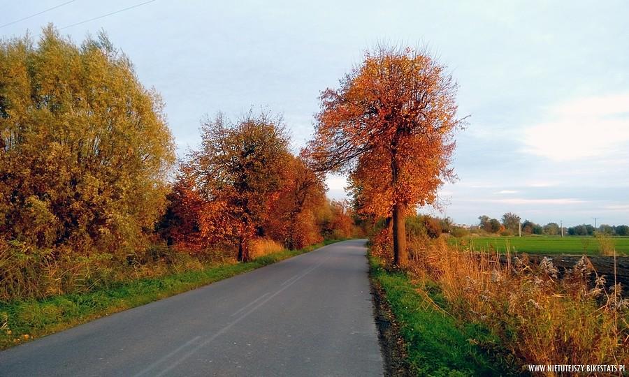 Jesień