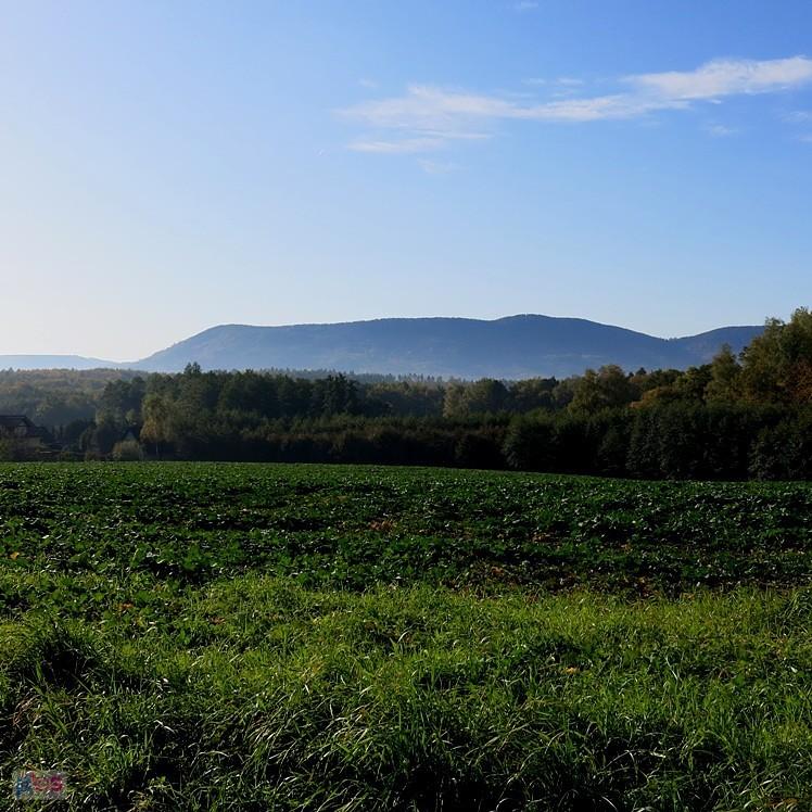 Widoczek na góry