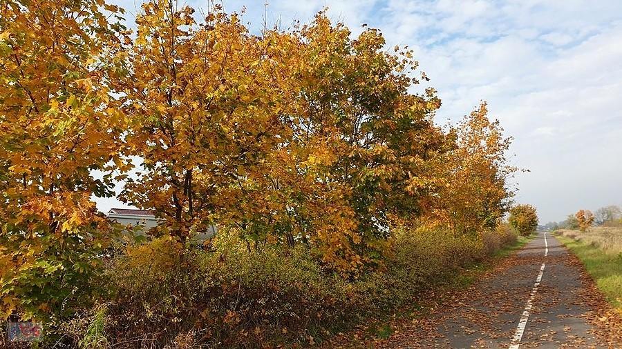 Ścieżka rowerowa do Żarowa