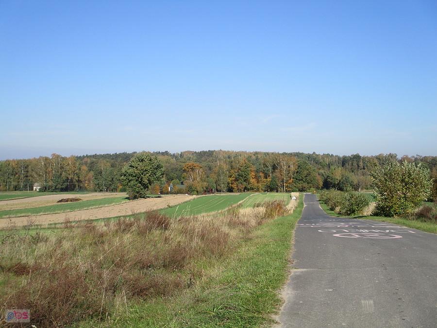 Okolice Kraszewa