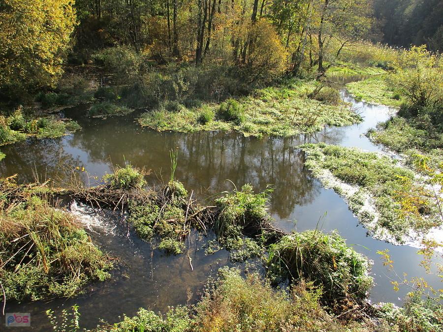 Głowno - Bykowiec