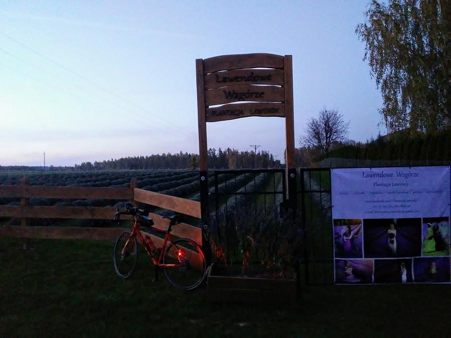 Lawendowe Wzgórze