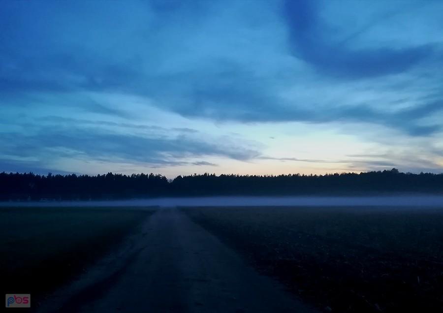 Niska mgła