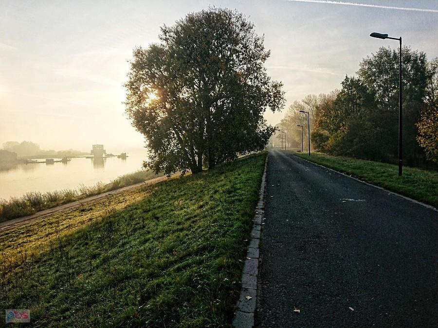 poranek nad Wisłą