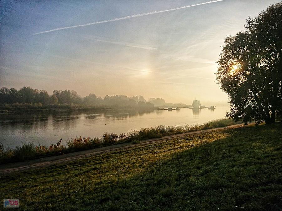 poranek nad Wisłą