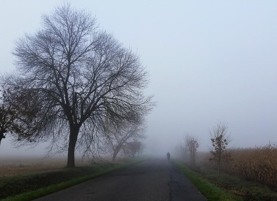 Jadąc za zombiakiem