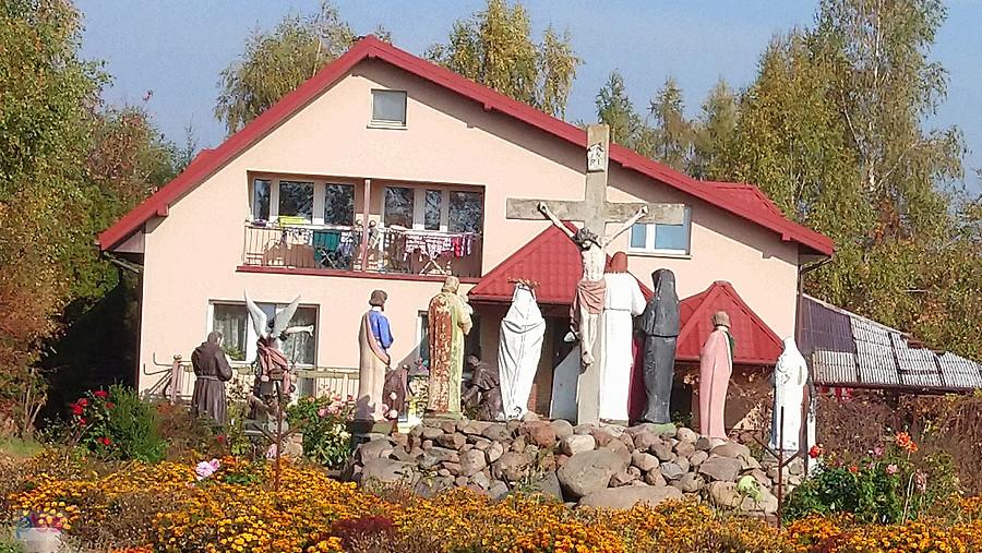 Niecodzienny widok
