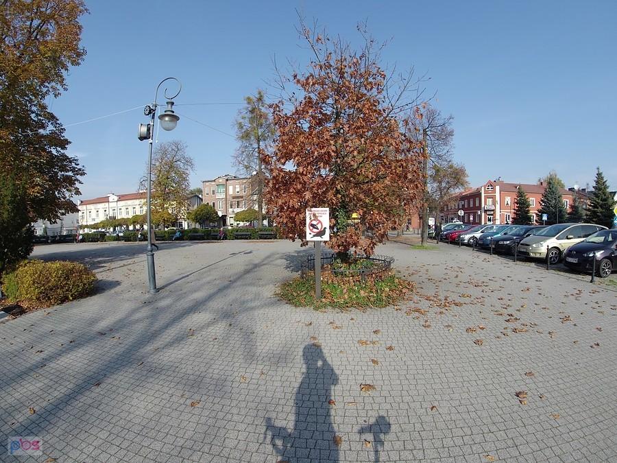 "Dokarmiając gołębie mnożysz populację szczurów"