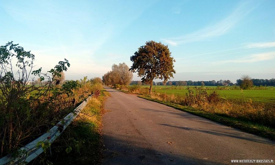 Za miastem