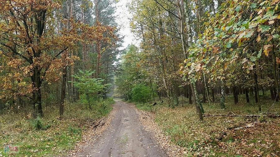 Dojazd pożarowy 36