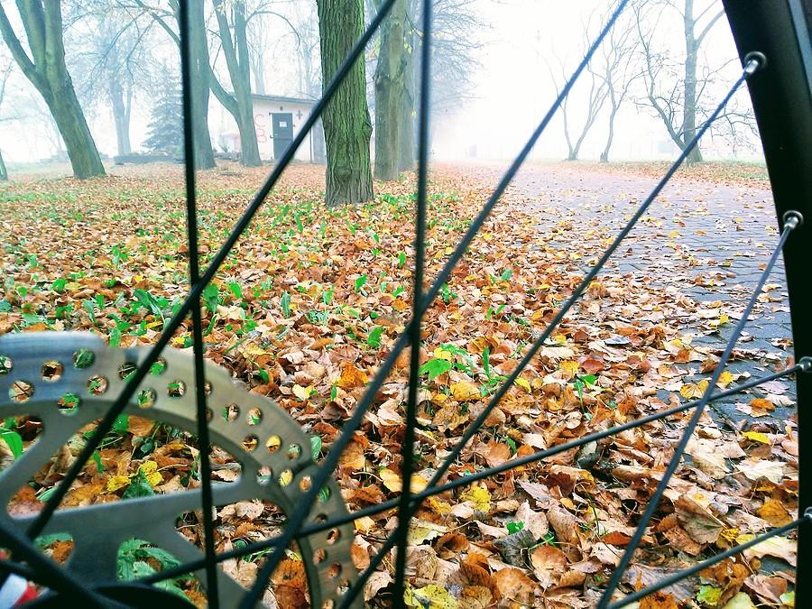 Międzynarodowy Dzień Roweru
