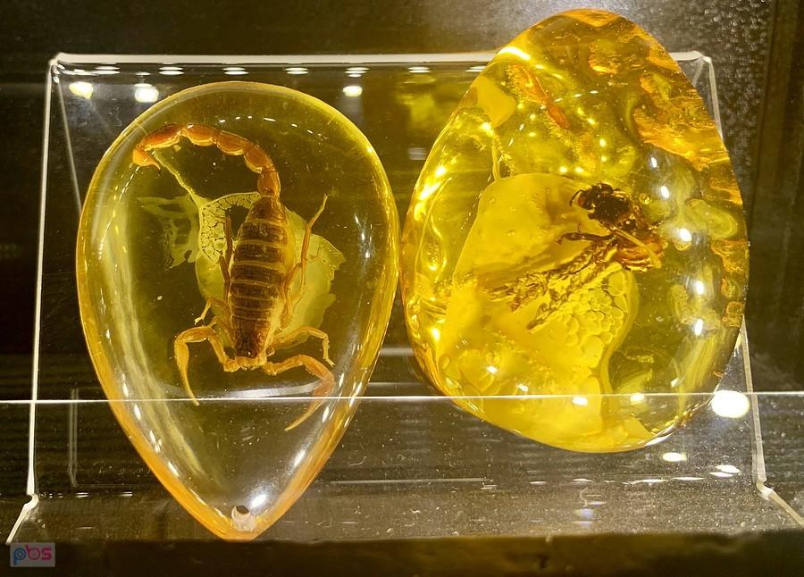 zatopione w czasie