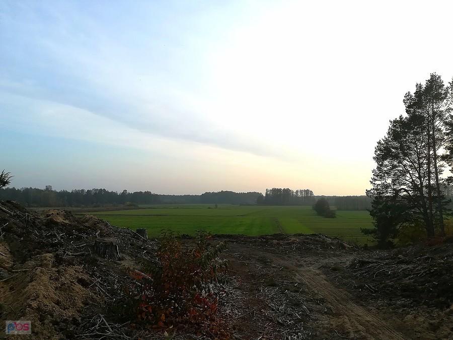Łąki jesiennym wieczorem