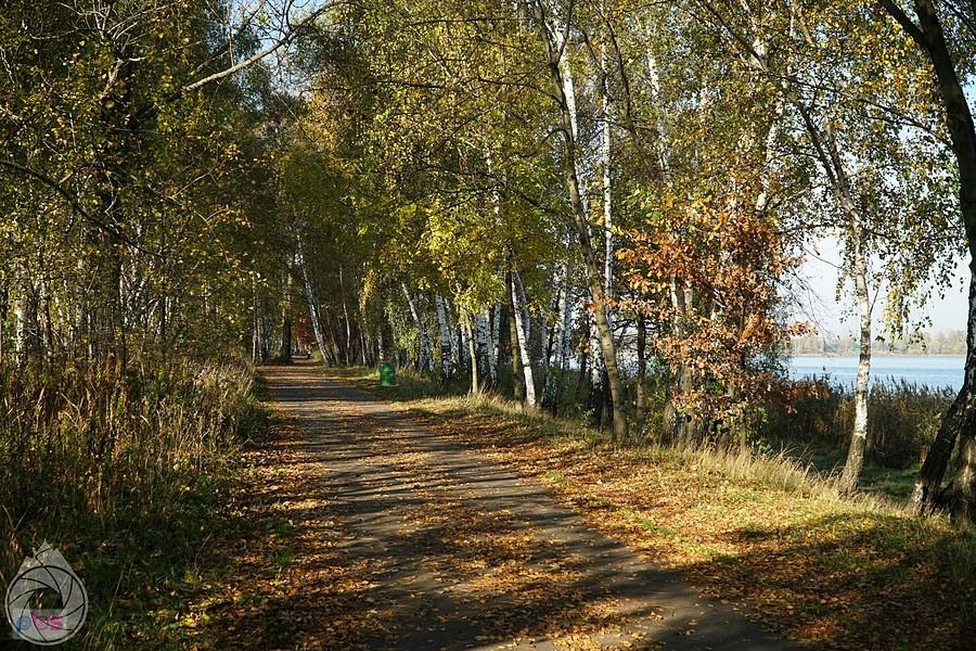 słoneczna droga nad Pogorią