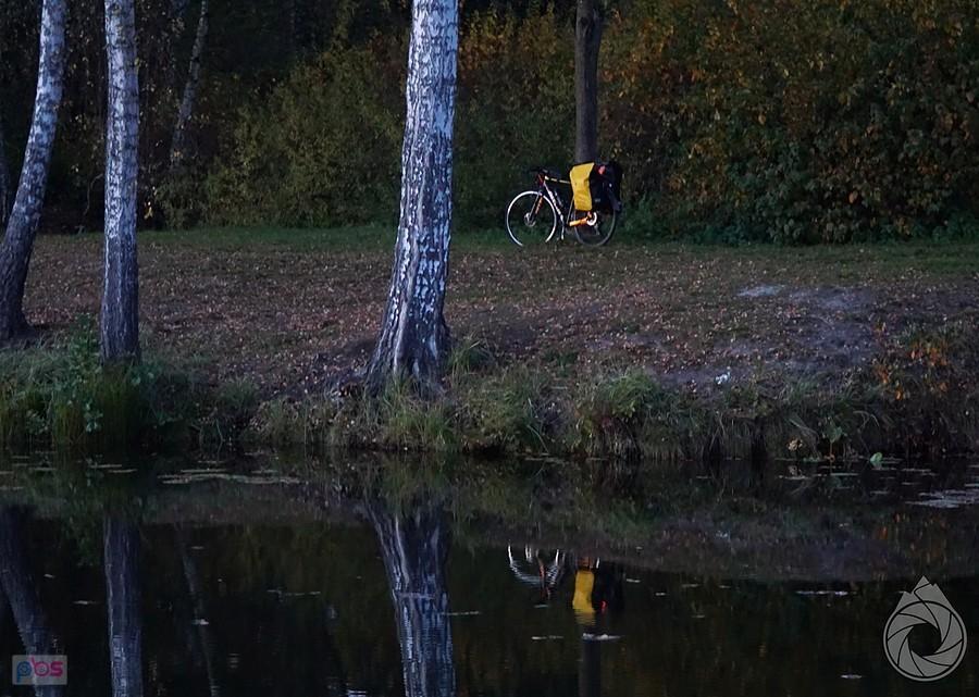wieczorny postój nietoperzowy nad wodą zalewu w Strzybnicy